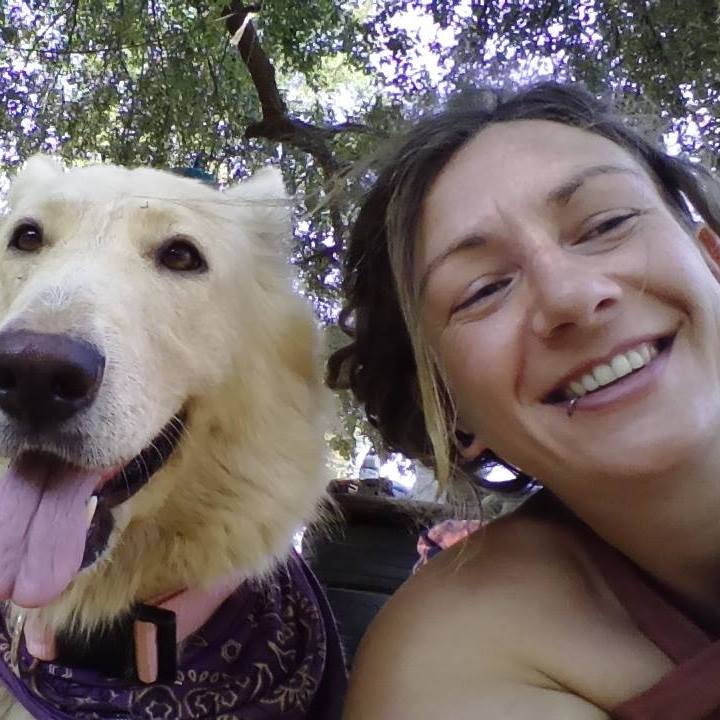 kat and willow the dog, the mushroom lady dorset